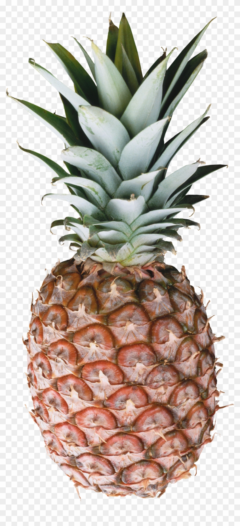 Pineapple - Pineapple And Marble Clipart