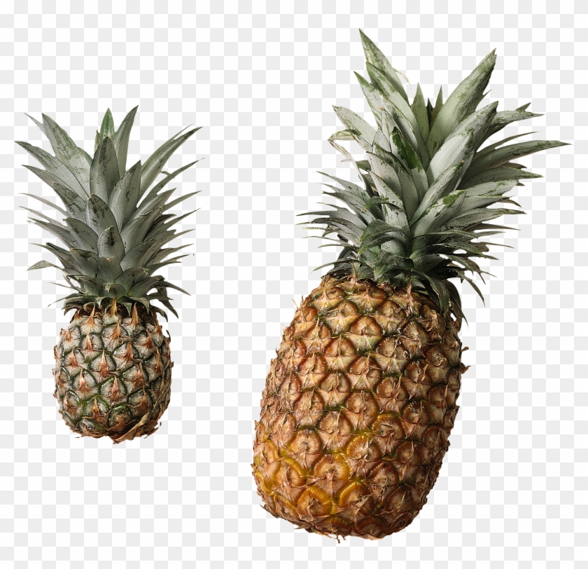 Pineapple Png Free Download - Pineapple With No Background Clipart #599294