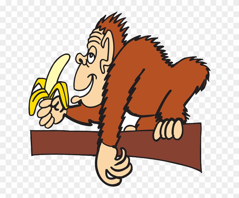 Ape With A Banana Svg Clip Arts 600 X 577 Px - Png Download #599625