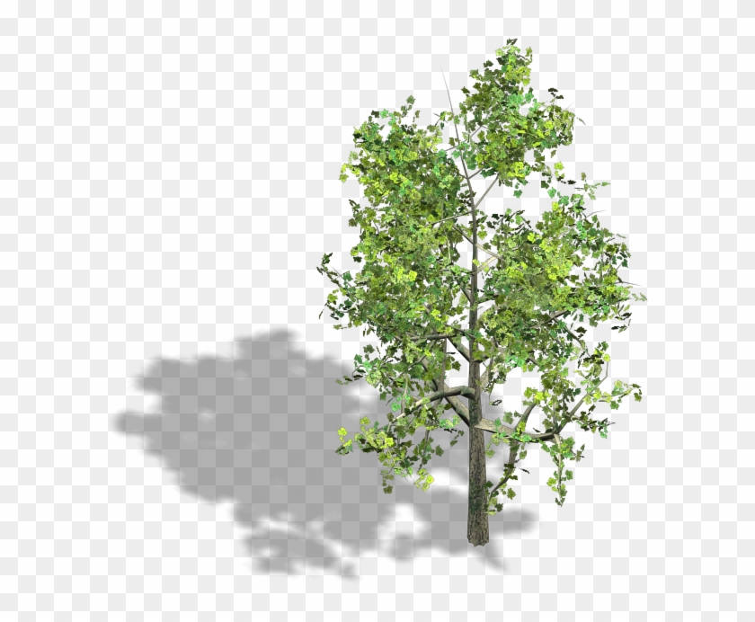 Preview - Trees Isometric Clipart