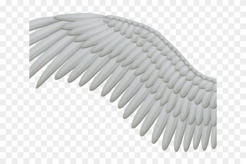 Angel Wings Png - Angels Wing No Background Clipart #599881