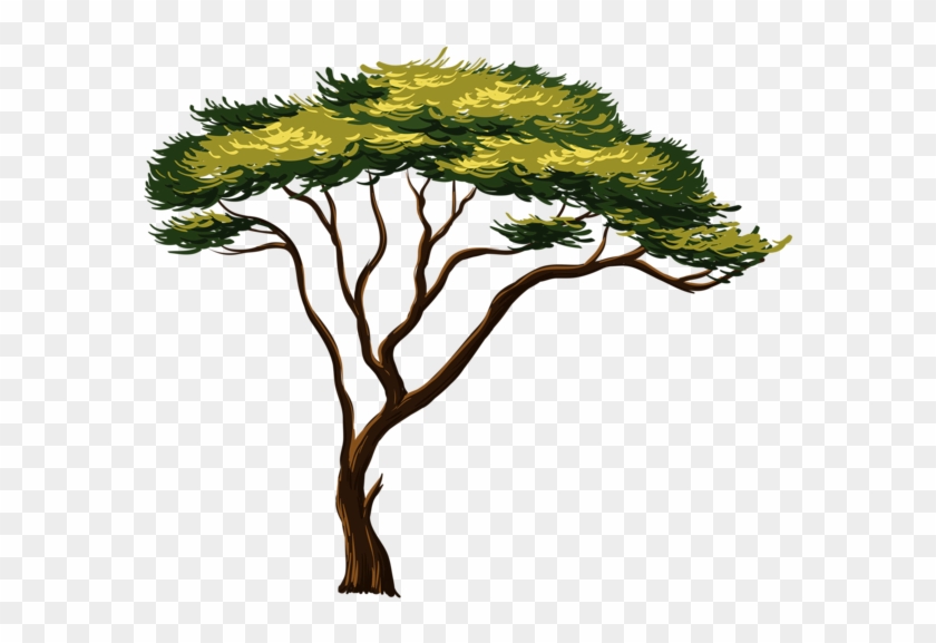 Painted African Tree Png Clipart Picture Trees Tree - African Tree Clipart Transparent Png #599911