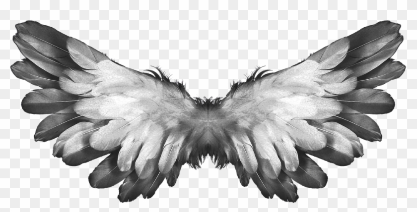 Free Png Download Angel Wings Feathers Png Images Background - Gods Angels Clipart #599915