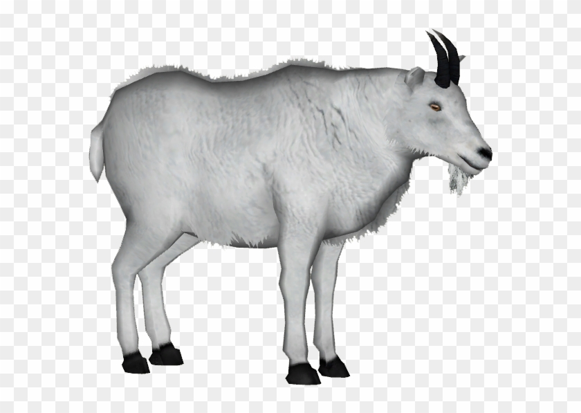 Mountain Goat 4 - Mountain Goat Png Clipart #599983