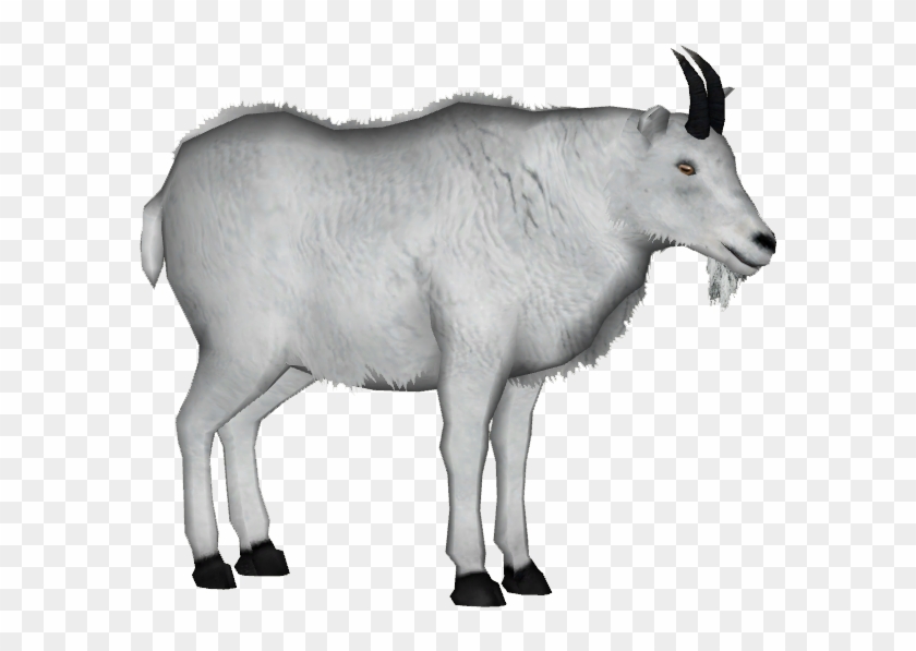 Mountain Goat 4 - Mountain Goat Png Clipart