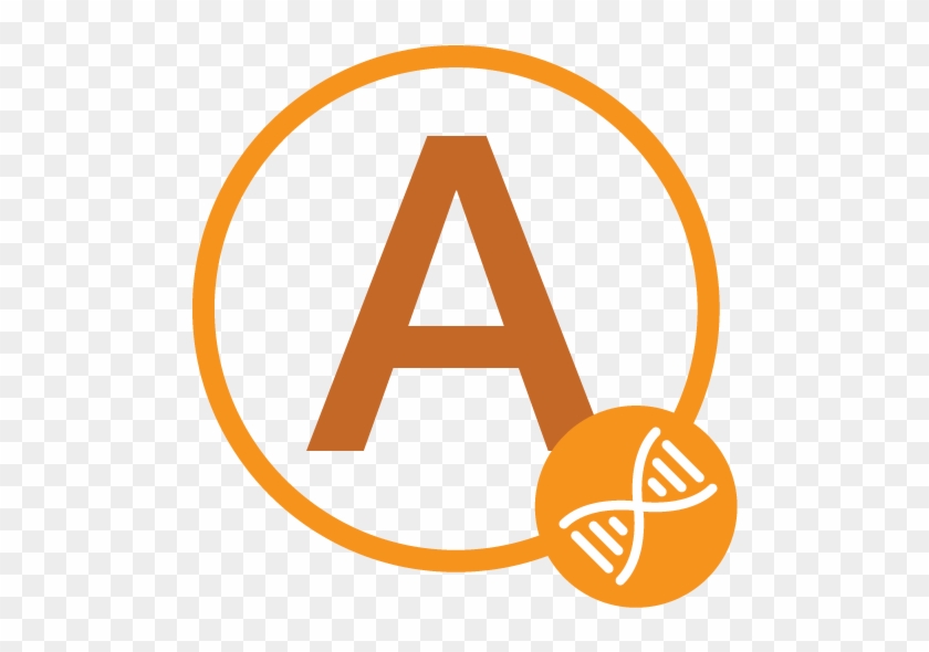 Those Human Genes That, When Significantly Altered, - Circle Clipart