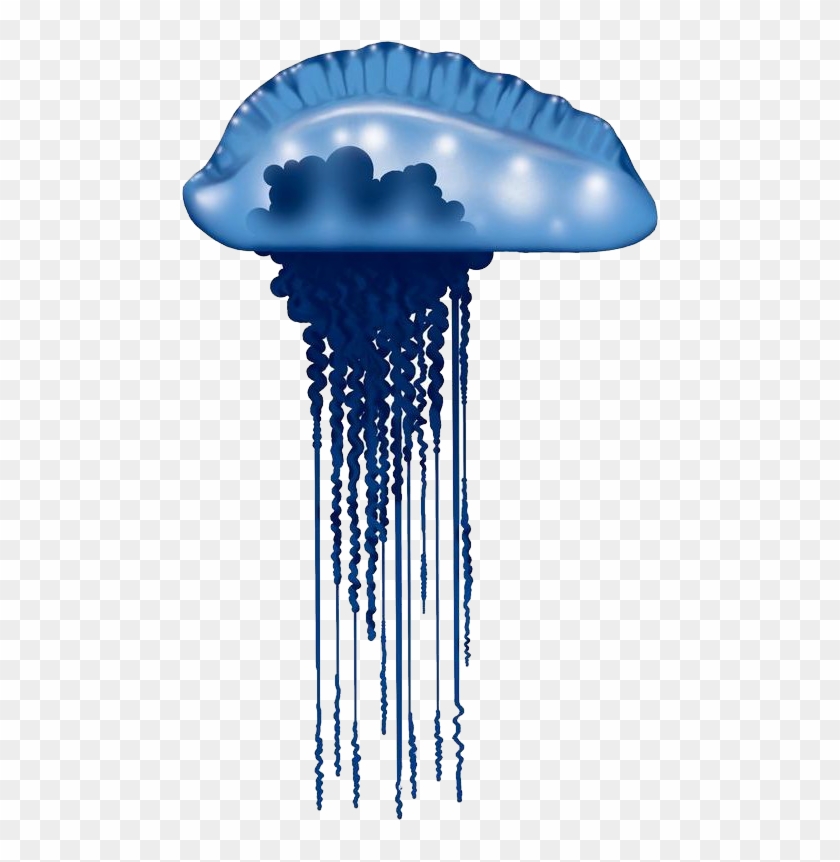 Blue Bottle Jellyfish Fiji Clipart #5902298
