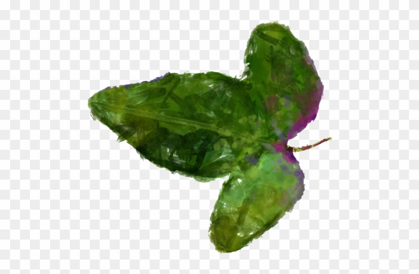 Leaf 2 Clipart
