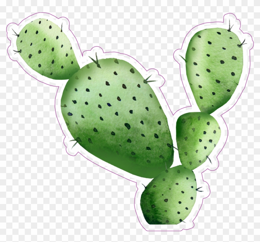 Sharp Watercolor Cactus Sticker - High Resolution Cactus Watercolor Clipart #5903019