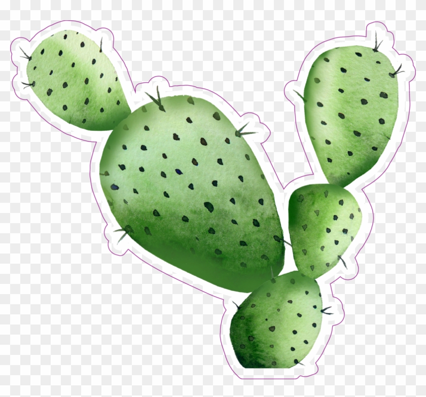 Sharp Watercolor Cactus Sticker - High Resolution Cactus Watercolor Clipart