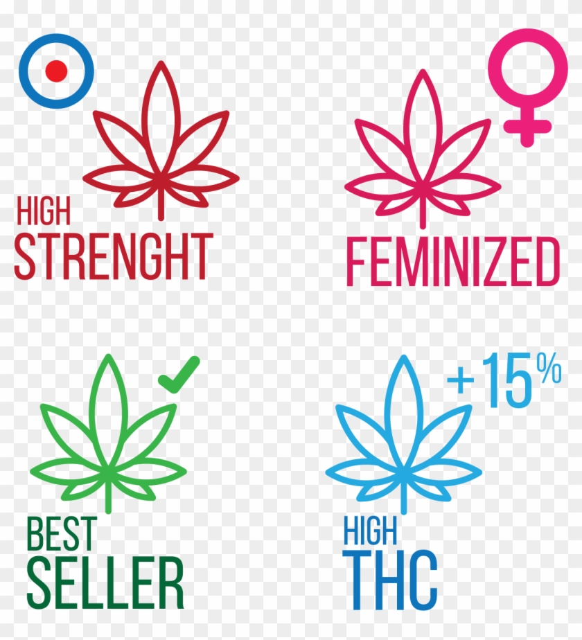 Elegant, Playful, Shipping Icon Design For Gorilla - Graphic Design Clipart #5903612