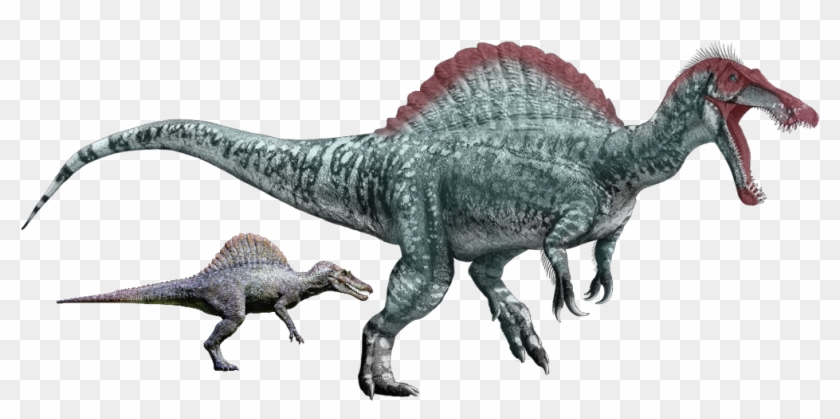 Juraasic Park 3 Female Spinosaurus Remake - Dinosaurs With Long Snouts Clipart #5903961