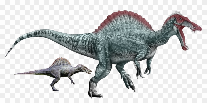 Juraasic Park 3 Female Spinosaurus Remake - Dinosaurs With Long Snouts Clipart