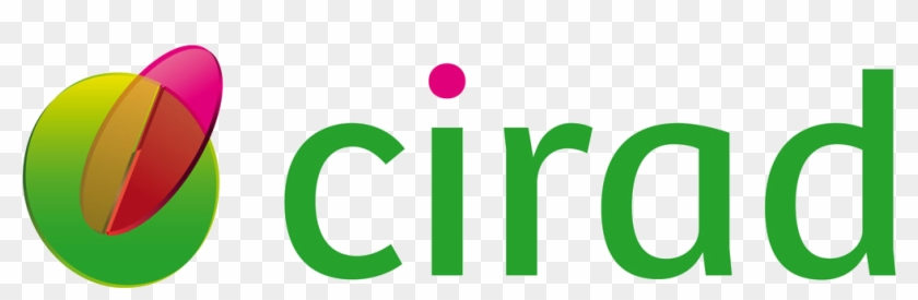 Sugarcane Stp - Centre De Coopération Internationale En Recherche Agronomique Clipart #5907511