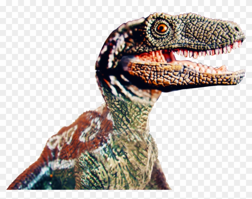 In Our Campaign We Show How Old Spice Will Allow You - Velociraptor Clipart #5907859