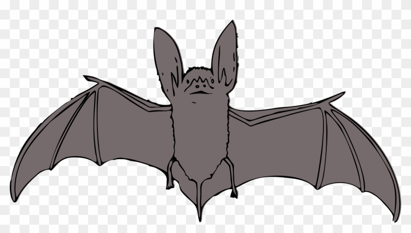 Bat Cartoon Coloring Pages - Bat Clipart - Png Download #5908155