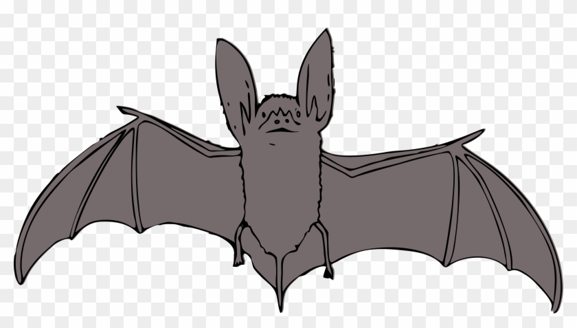Bat Cartoon Coloring Pages - Bat Clipart - Png Download