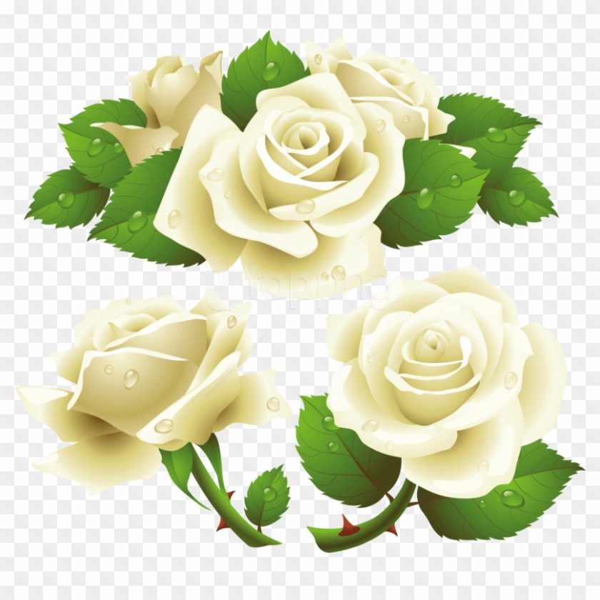 Download White Roses Clipart Png Photo - White Roses Vector Png Transparent Png #5908548