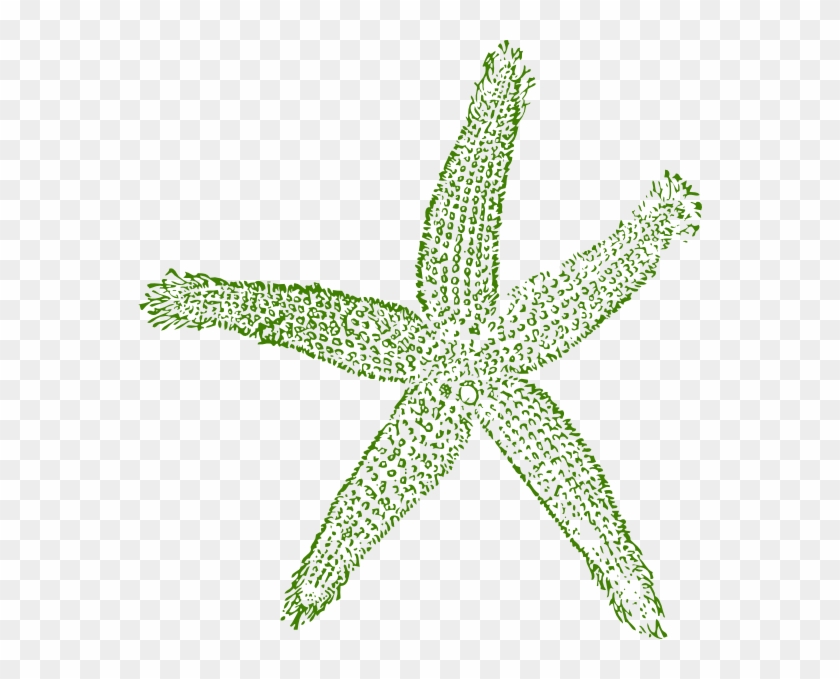 Starfish Clipart Png - Blue Sea Shell Clip Art Transparent Png #5909003