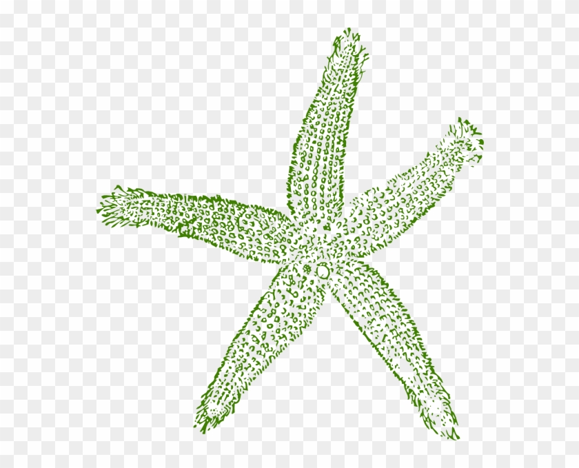 Starfish Clipart Png - Blue Sea Shell Clip Art Transparent Png