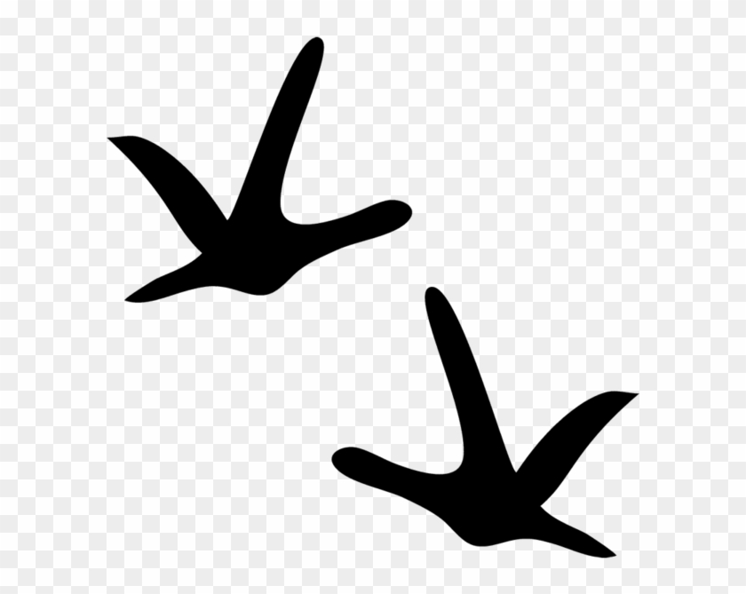 Turkey Tracks Clipart - Turkey Tracks Png Transparent Png #5909144