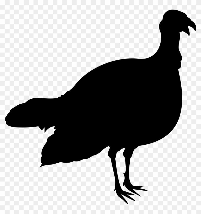 Download Png - Chicken Clipart #5909458