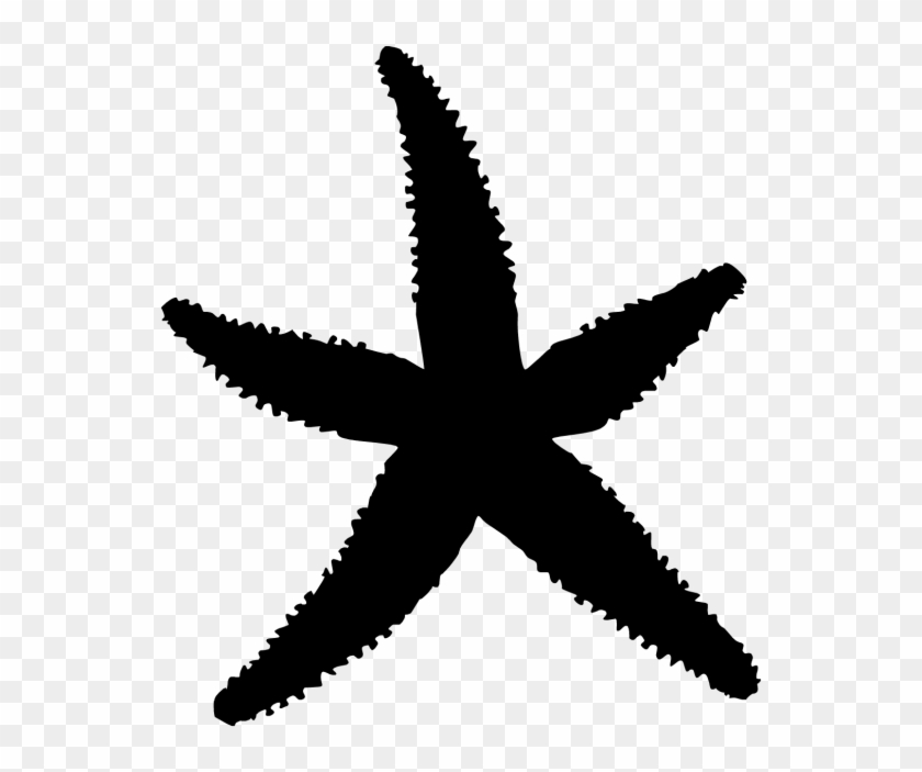 Pesce Mod - - Black Shuck Clipart #5909632