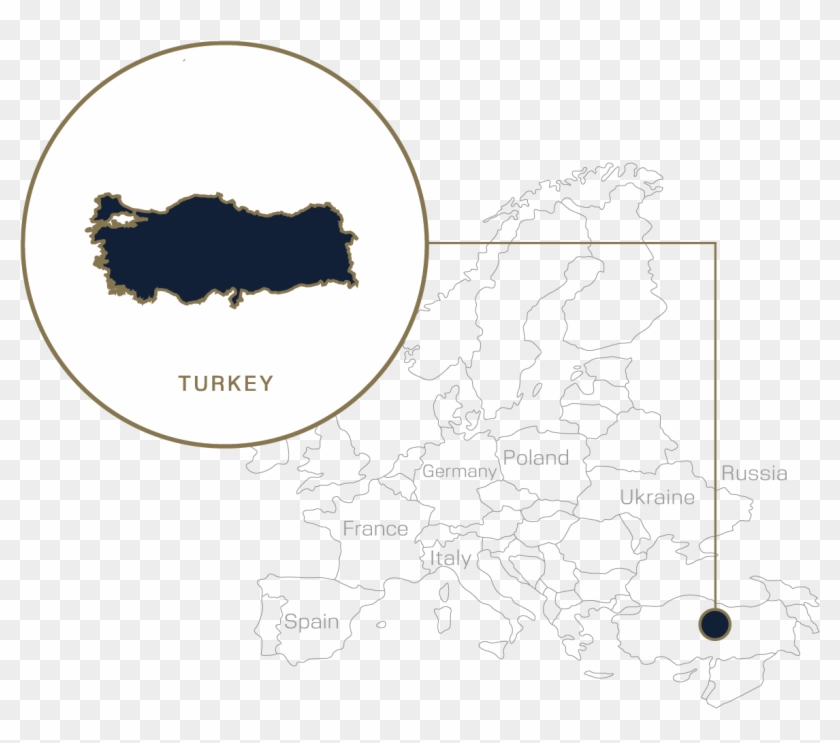 Overview - Circle Clipart