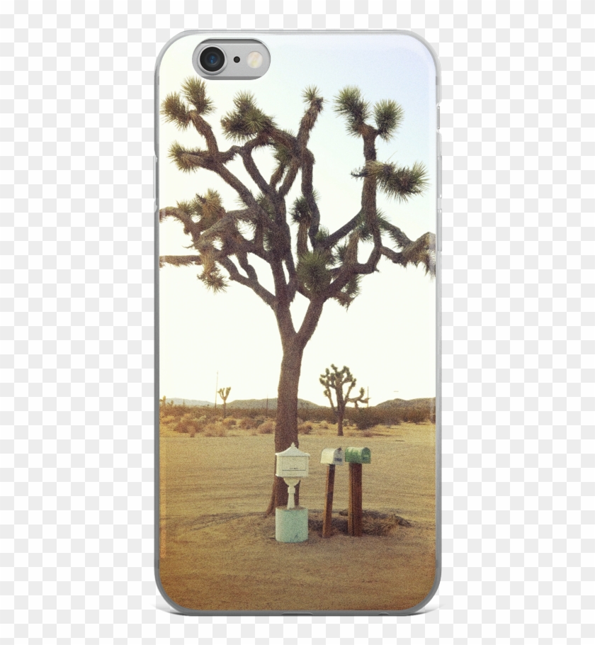 Joshua Tree Iphone Case - Smartphone Clipart #5910807