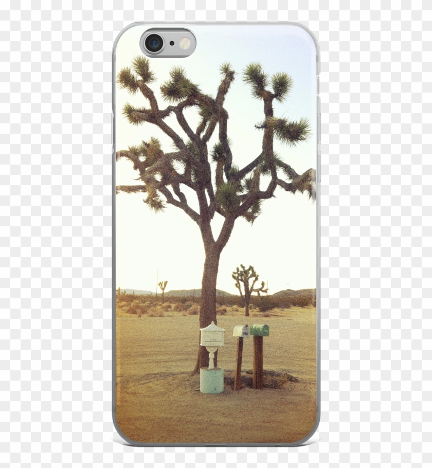 Joshua Tree Iphone Case - Smartphone Clipart