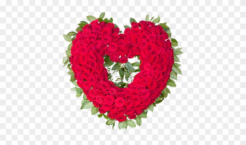 Open Heart - Hybrid Tea Rose Clipart