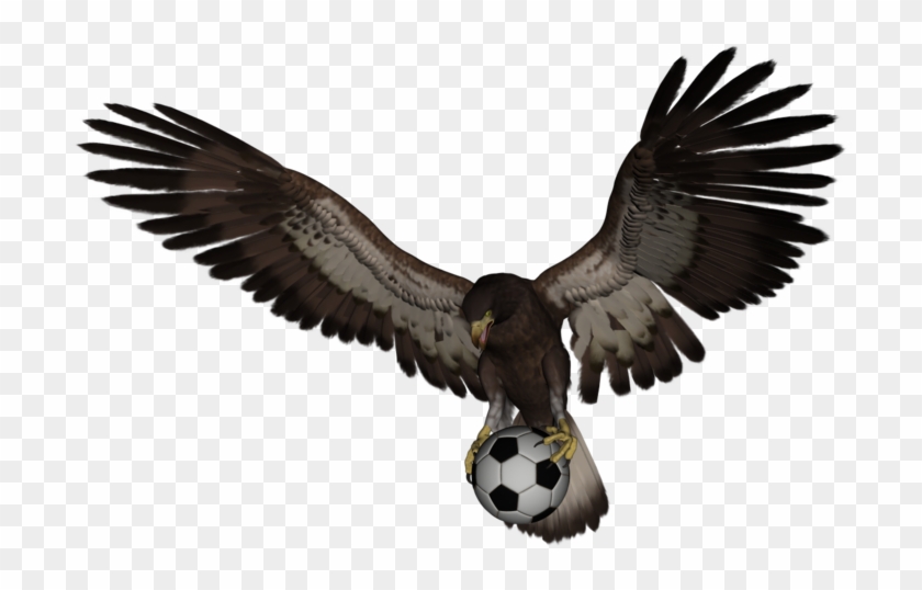 Eagle - Bald Eagle Clipart #5912146