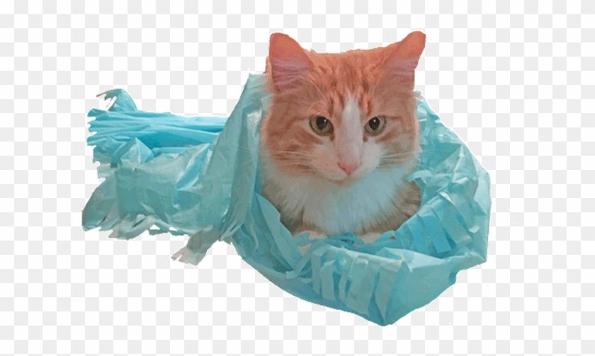 Picture Of Magic Carpet - Ragamuffin Clipart