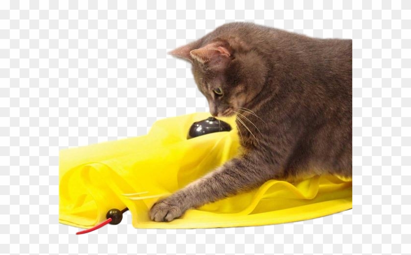 Love To Play With Your Cat This New Revolving Cat Toy - Cat Toy Mouse Tail Clipart