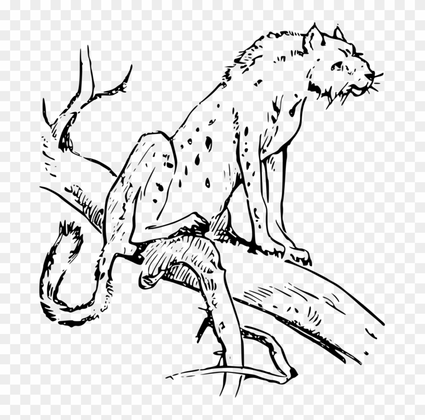 Chester Cheetah Drawing Canidae Cheetos - Cheetah Clipart