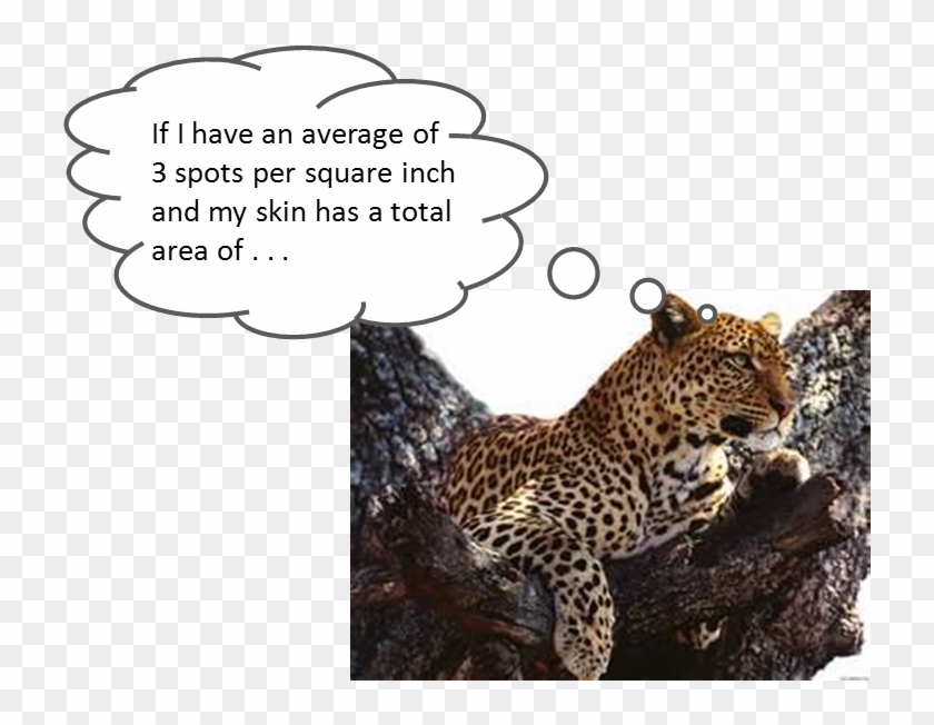 Chester's Weekly Challenge Problem - Animal Clipart