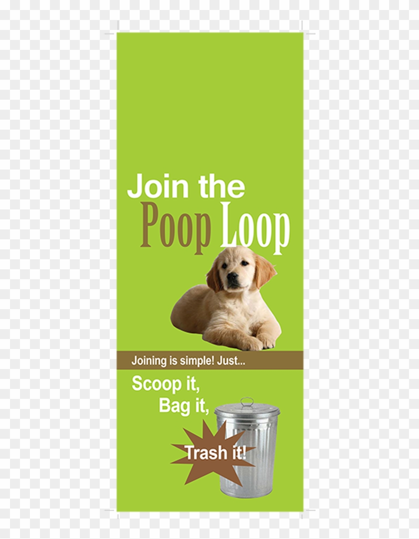 Download As Pdf - Chiot Golden Clipart #5913488