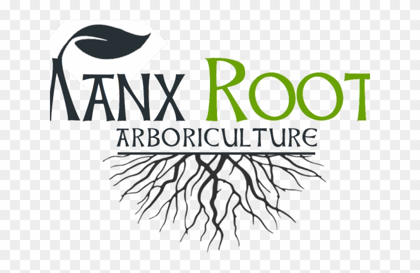 Tree Root Font - Cafe Clipart