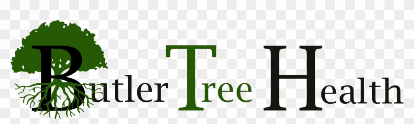 Tree With Roots Clipart #5914554