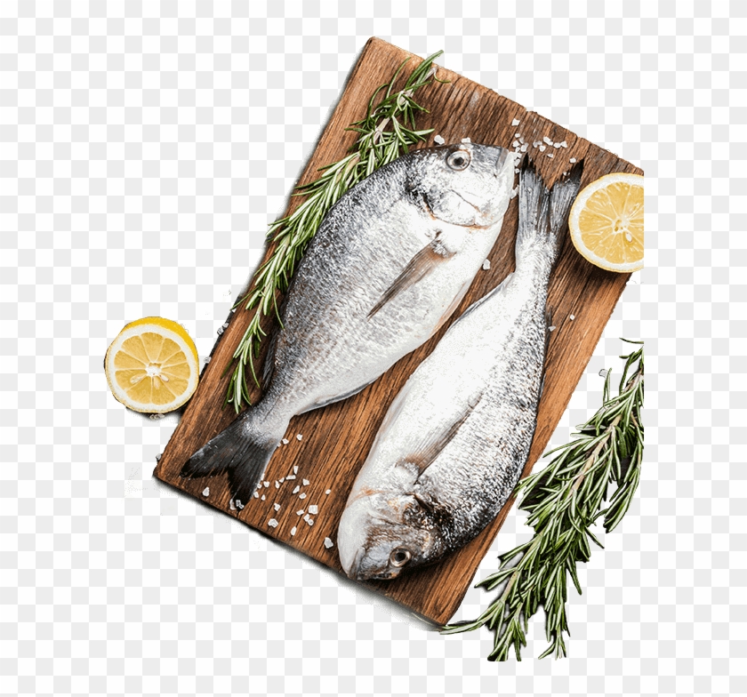 H Short Slide2 Img7 - Kipper Clipart