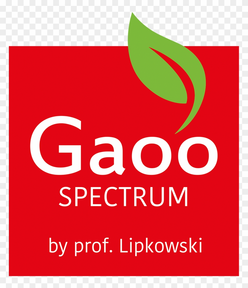 Graphic Design Clipart