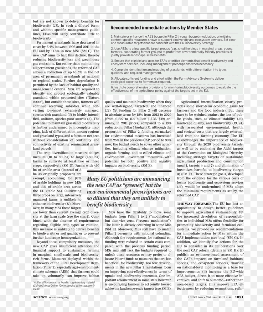 Illustration For The Tale Of Prince Ivan, The Firebird Clipart #5917726