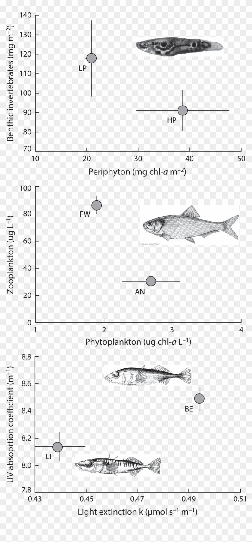 09-03 Hendry Fig - Lamniformes Clipart #5922481