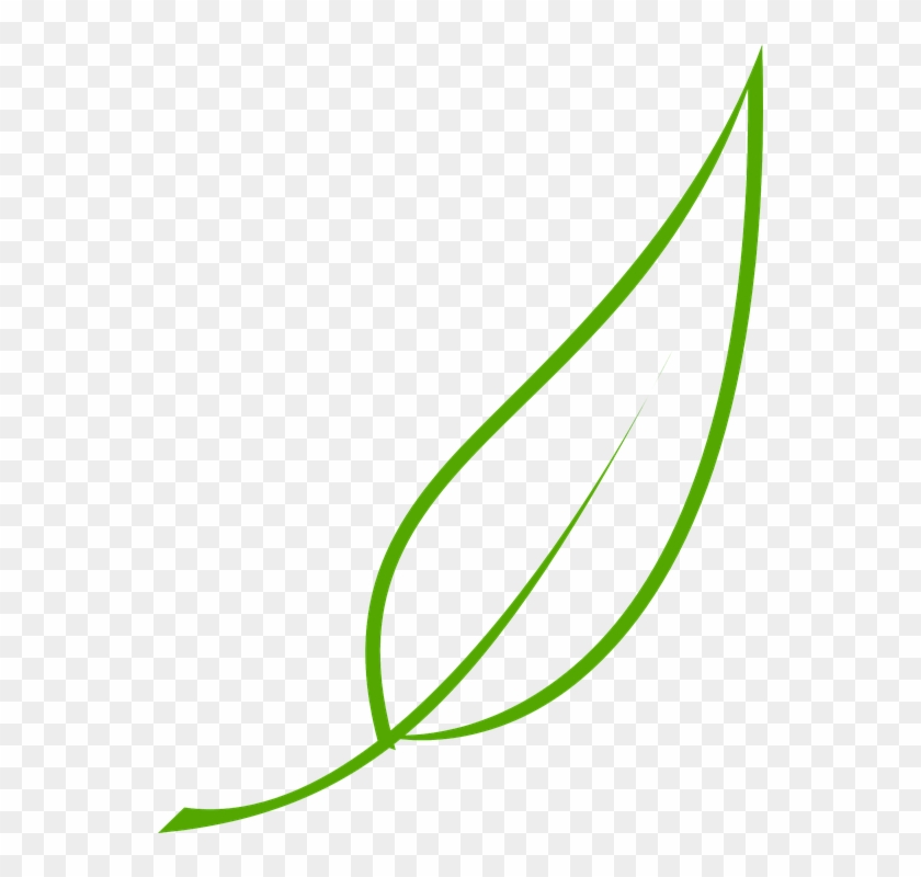 Gum Leaf Template Leaf Green Tea Free Vector Graphic - Leaf Clip Art Creative Commons - Png Download