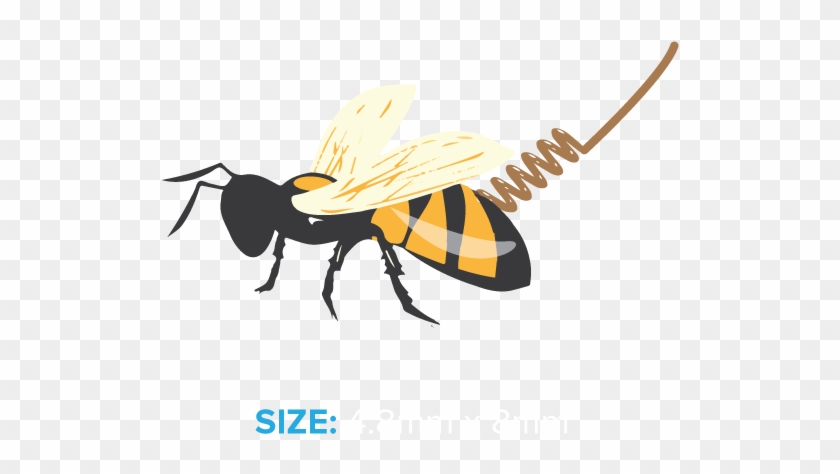 Illustration Clipart