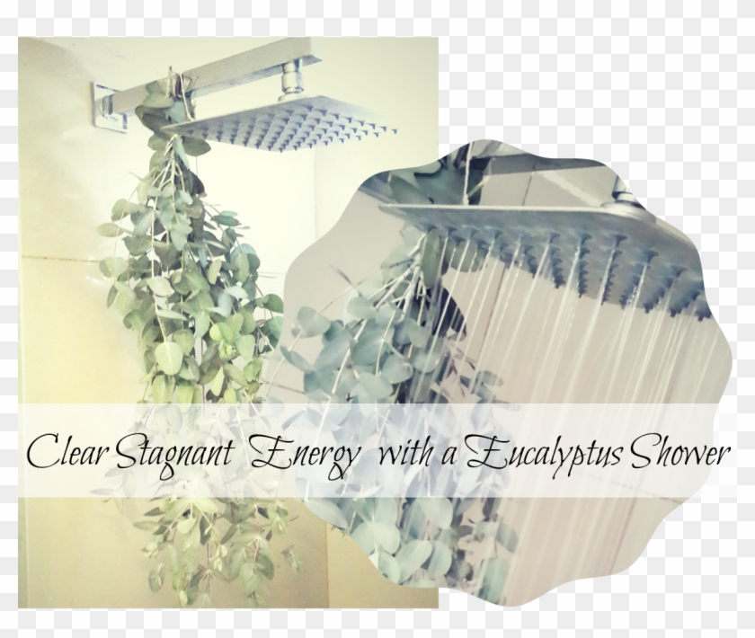 Eucalyptus Shower2 - Curtain Clipart