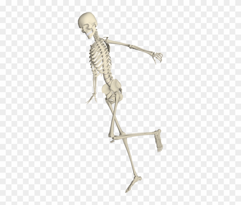 Skeleton Running Png Clipart