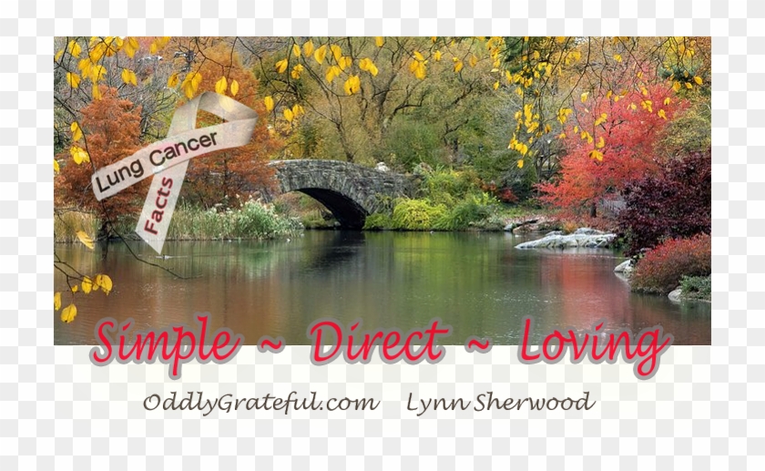 New York Clipart #5925822