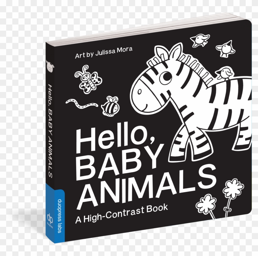 Baby Zebra Png Clipart