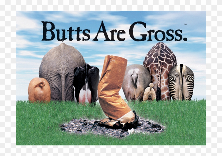 Cigarette Butts Are Gross Clipart